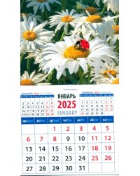 Календарь на магните на 2025 год Божья коровка на ромашке