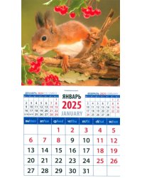 Календарь на магните на 2025 год Бельчонок