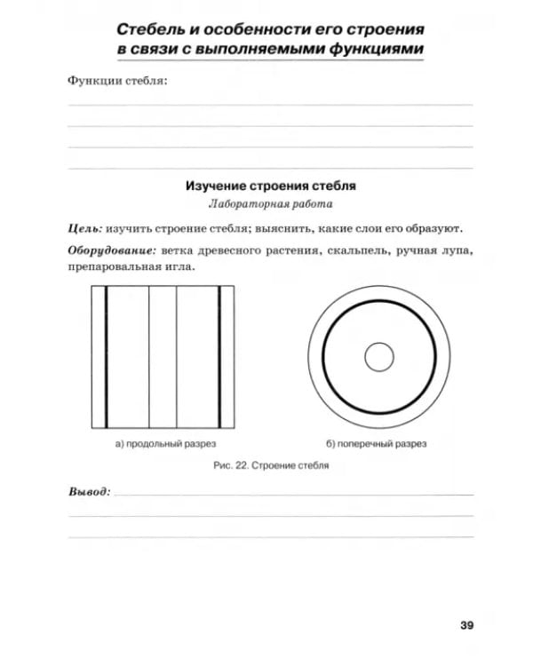 Биология. 6 класс. Рабочая тетрадь