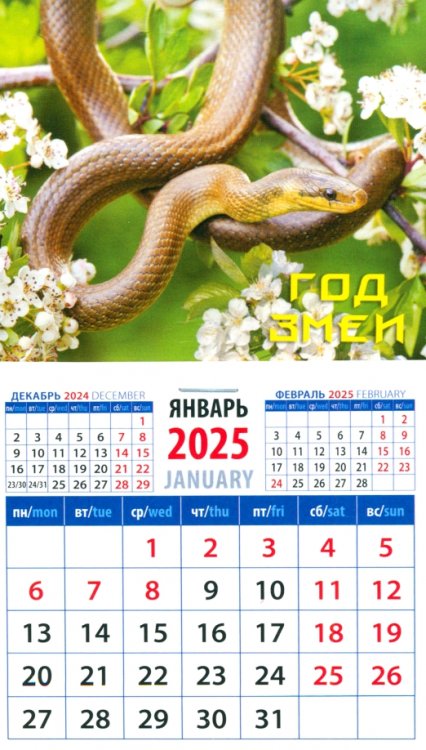 Календарь на магните 94х167 Календарь на магните на 2025 год Год змеи