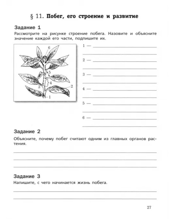 Биология. 6 класс. Рабочая тетрадь. Базовый уровень