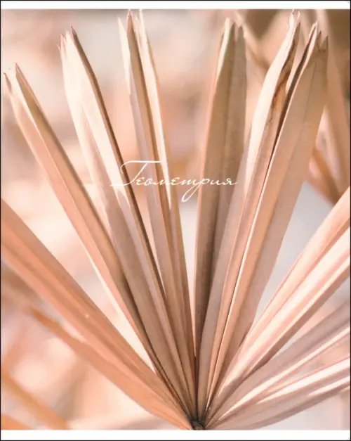 Обложка книги «Тетрадь предметная Nude. Геометрия, 48 листов, клетка»