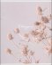 Обложка книги «Тетрадь предметная Nude. История, 48 листов, клетка»