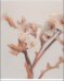 Обложка книги «Тетрадь предметная Nude. Физика, 48 листов, клетка»