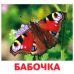 Деревья и насекомые, 40 карточек
