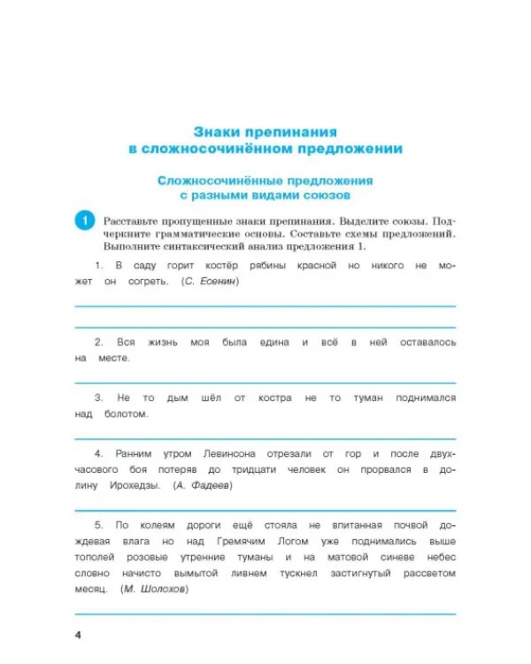 Русский язык. 9 класс. Тренажер. Пунктуация