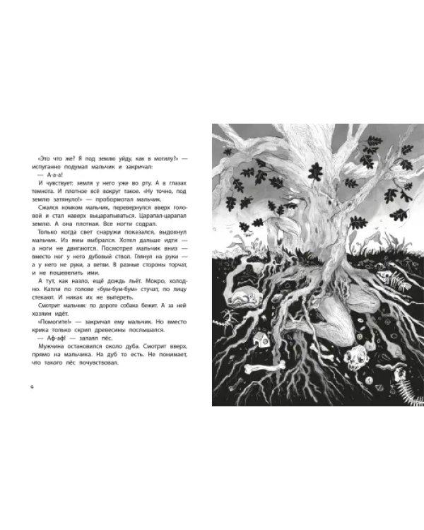 Дополнительное изображение книги «Экологические страшилки»