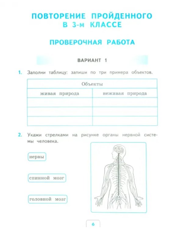 Окружающий мир. 4 класс. Проверочные работы к учебнику А. А. Плешакова, Е. А. Крючковой