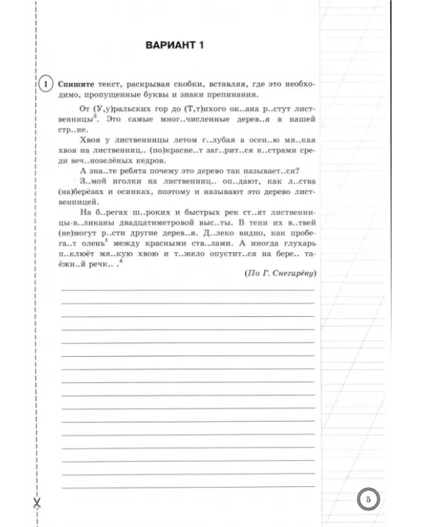 ВПР. Русский язык. 5 класс. 25 вариантов. Типовые задания