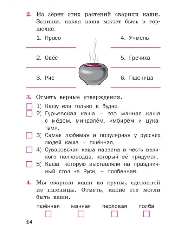 Русский родной язык. 2 класс. Рабочая тетрадь
