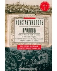 Константинополь и Проливы. Том 1. Борьба Российской империи за столицу Турции