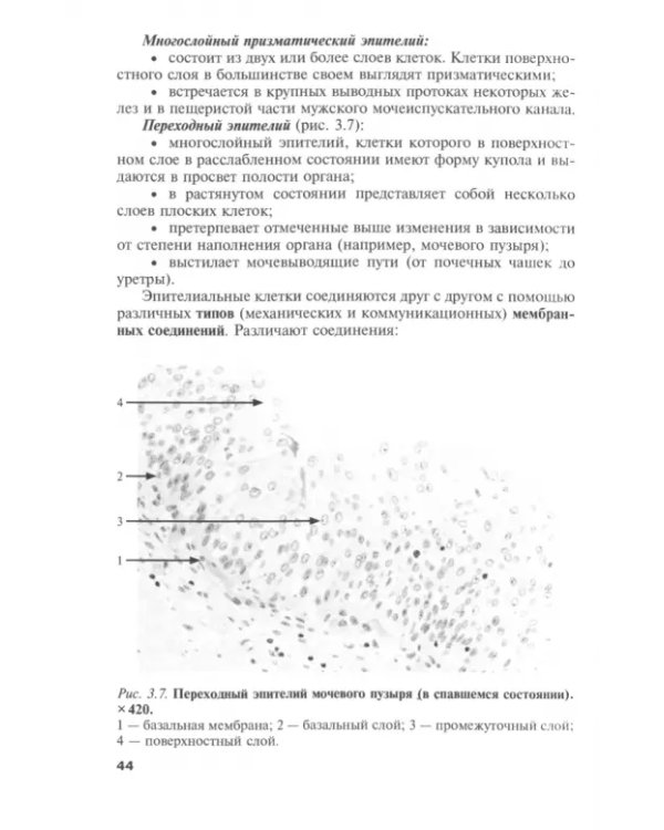 Общая и частная гистология