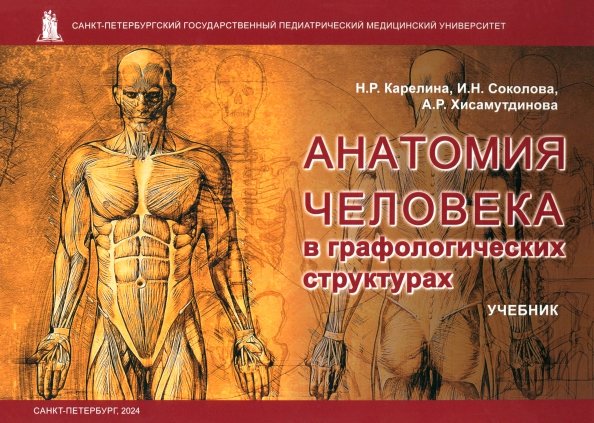 Анатомия человека в графологических структурах. Учебник Анатомия человека в графологических структурах. Учебник