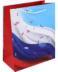 Пакет подарочный Триколор