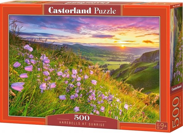 Puzzle-500 Puzzle-500 Колокольчики на рассвете