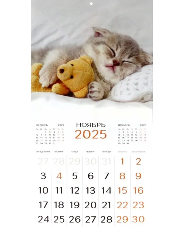 Календарь перекидной на 2025 год Котята