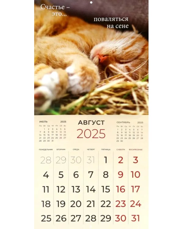 Календарь перекидной на 2025 год Счастье - это...