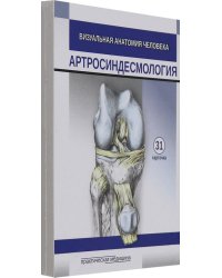 Визуальная анатомия человека. Артросиндесмология. Карточки, 31 штука