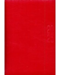 Ежедневник датированный на 2025 год Сариф Эконом. Красный, 176 листов, А5