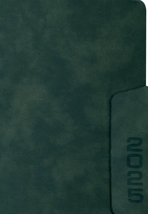 Ежедневники датированные Ежедневник датированный на 2025 год Тиволи. Чёрный, 176 листов, А5