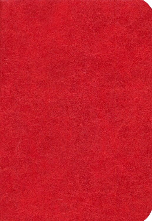 Ежедневники датированные Ежедневник датированный на 2025 год Честер. Красный, 176 листов, А5