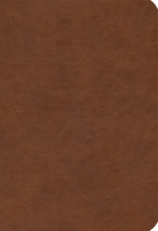 Ежедневники датированные Ежедневник датированный на 2025 год Честер. Коричневый, 176 листов, А5