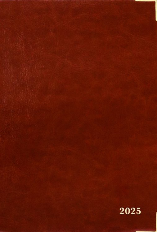 Ежедневники датированные Ежедневник датированный на 2025 год Сариф. Коричневый, 176 листов, А5