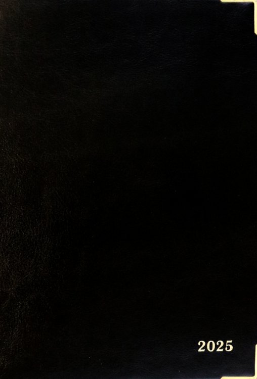 Ежедневники датированные Ежедневник датированный на 2025 год Сариф. Чёрный, 176 листов, А5