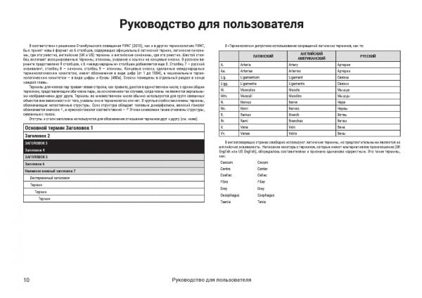 Международная анатомическая терминология