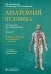 Обложка книги «Анатомия человека. Учебник. В 2-х томах. Том 2. Нервная система. Сосудистая система» — Гайворонский Алексей Иванович, Ничипорук Геннадий Иванович, Гайворонский Иван Васильевич, ISBN 9785970481011