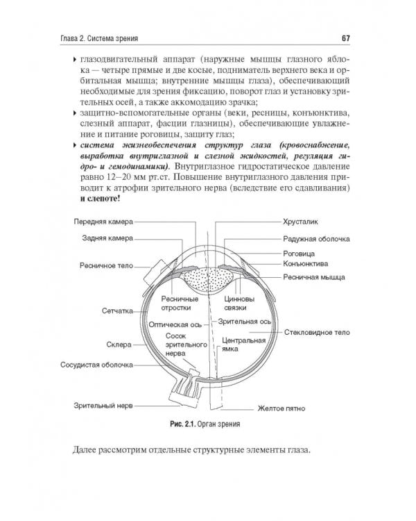 Физиология сенсорных систем. Высшая нервная и психическая деятельность, поведение. Учебное пособие