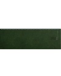 Планинг датированный на 2025 год Silver Classic. Зеленый, 56 листов