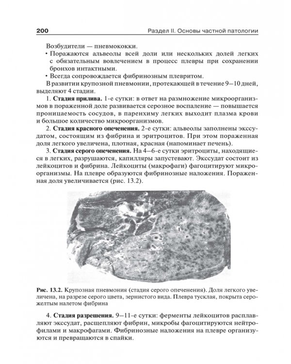 Дополнительное изображение книги «Основы патологии. Учебник»