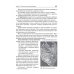 Дополнительное изображение книги «Основы патологии. Учебник»