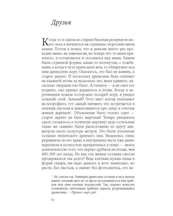 Тайная жизнь деревьев. Что они чувствуют, как они общаются — открытие сокровенного мира