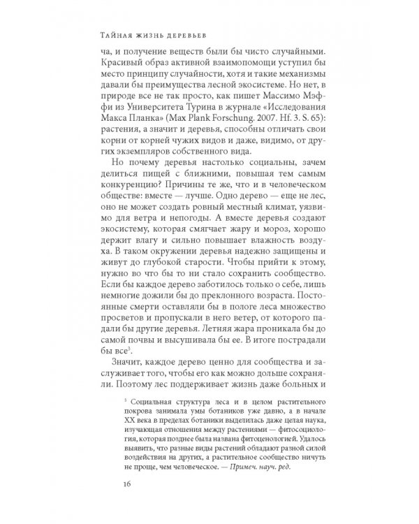 Тайная жизнь деревьев. Что они чувствуют, как они общаются — открытие сокровенного мира
