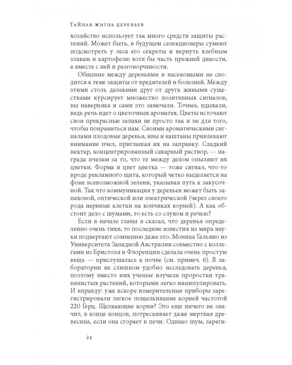 Тайная жизнь деревьев. Что они чувствуют, как они общаются — открытие сокровенного мира