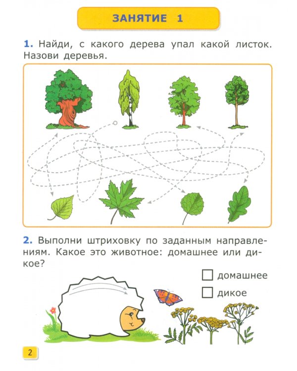 Я учусь писать. Рабочая тетрадь. 7 лет