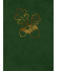 Блокнот Vesper. Еловый, 80 листов, А5-, клетка