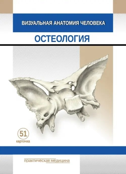 Обложка книги «Визуальная анатомия человека. Остеология. Карточки, 51 штука» — Тимофеева М. О., Варенцов В. Е., ISBN 9785988117971