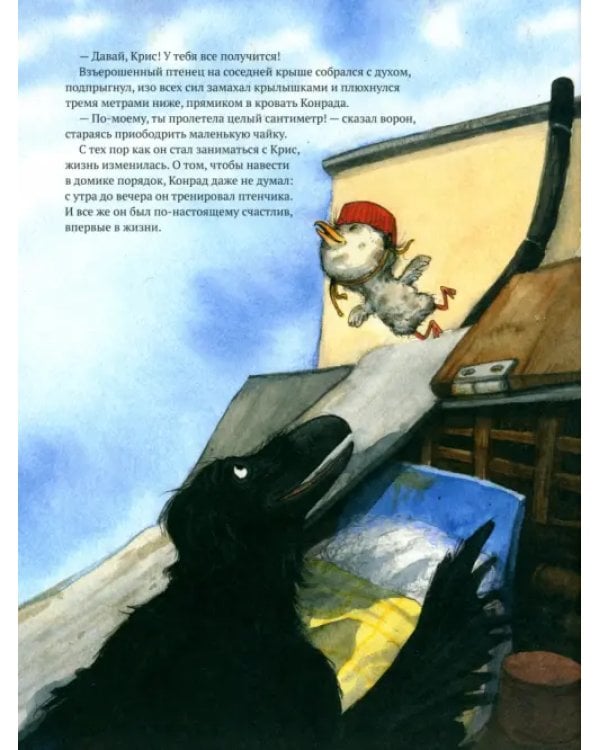 Конрад. Дело о пропавшем фламинго