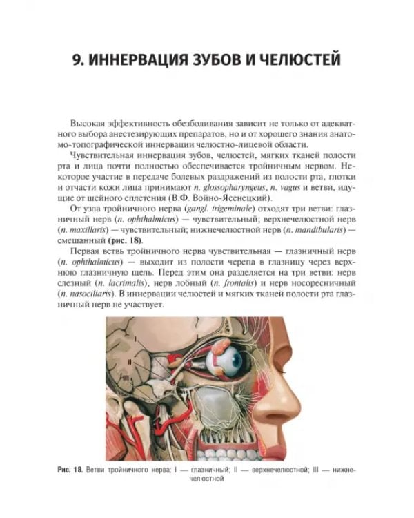 Дополнительное изображение книги «Местное обезболивание в стоматологии. Учебное пособие»