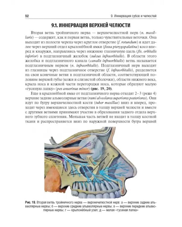 Дополнительное изображение книги «Местное обезболивание в стоматологии. Учебное пособие»