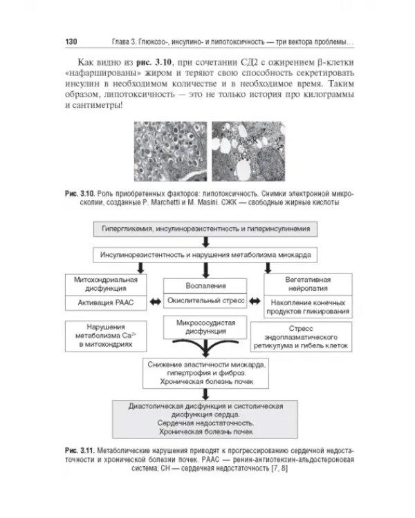 Управление метаболическим здоровьем. В 3-х томах. Том 1