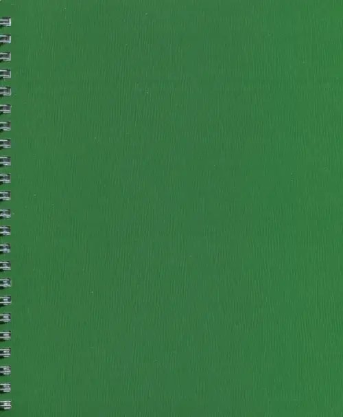 Тетрадь общая WOOD. Зеленая, 80 листов, А5, клетка, гребень Тетрадь общая WOOD. Зеленая, 80 листов, А5, клетка, гребень