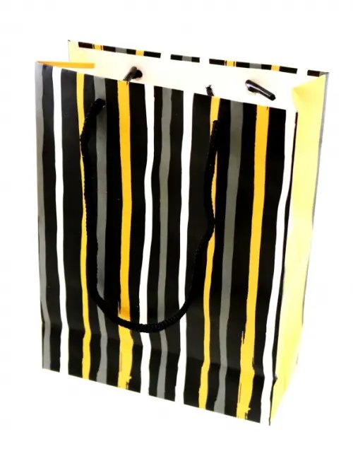 Пакет подарочный матовый Полоски