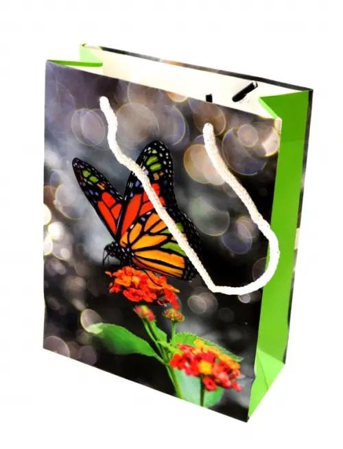 Пакет подарочный матовый Бабочка