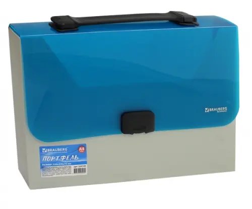 Пластиковый портфель без отделений. А4 (224149)