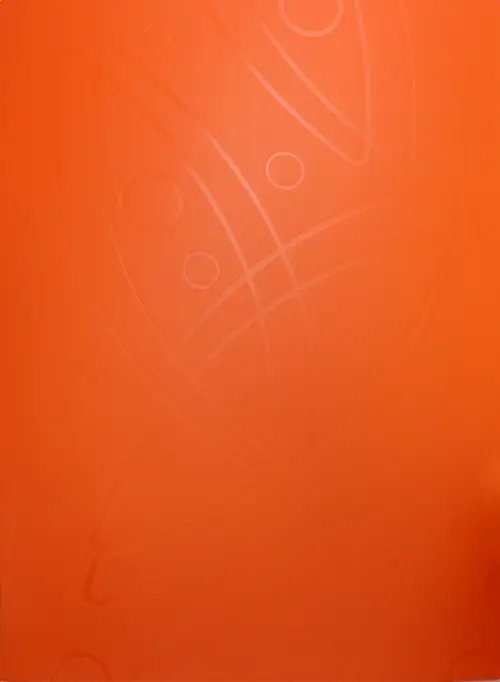 Папка &quot;Galaxy&quot; (40 прозрачных вкладышей, A4, оранжевая) (GA40OR)