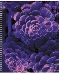 Тетрадь Violet Mix, 96 листов, клетка, в ассортименте